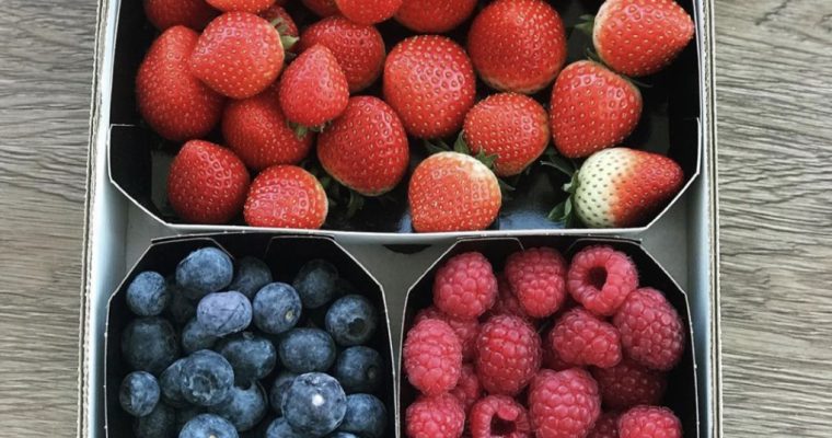 LAS FRUTAS DEL BOSQUE