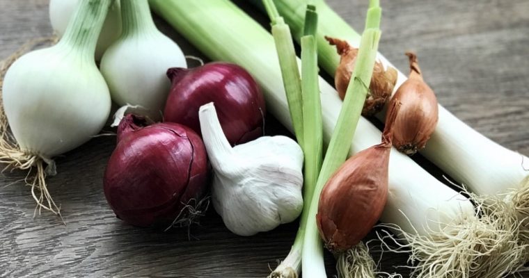 EL AJO Y LA CEBOLLA: LOS ALLIUM