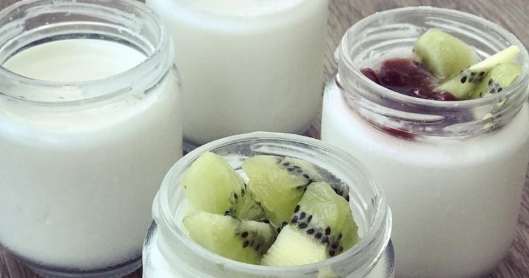 YOGUR CASERO