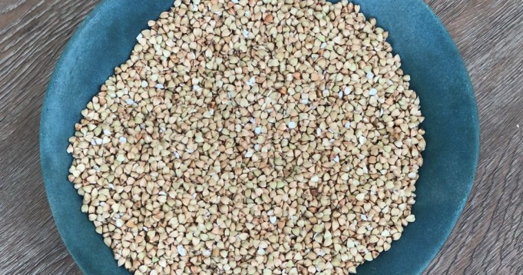 TRIGO SARRACENO: UN PSEUDOCEREAL