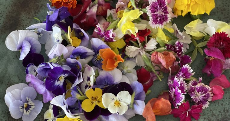 LAS FLORES COMESTIBLES